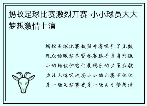 蚂蚁足球比赛激烈开赛 小小球员大大梦想激情上演